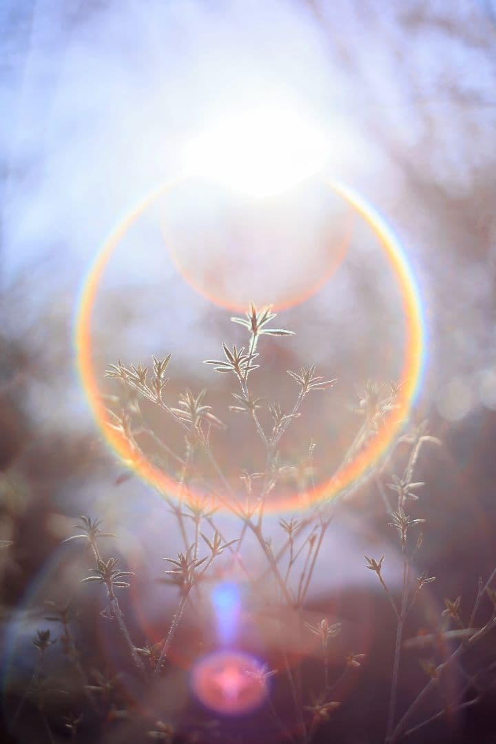 Super-Takumar 55mm F1.8 後期型 S/N：1406850