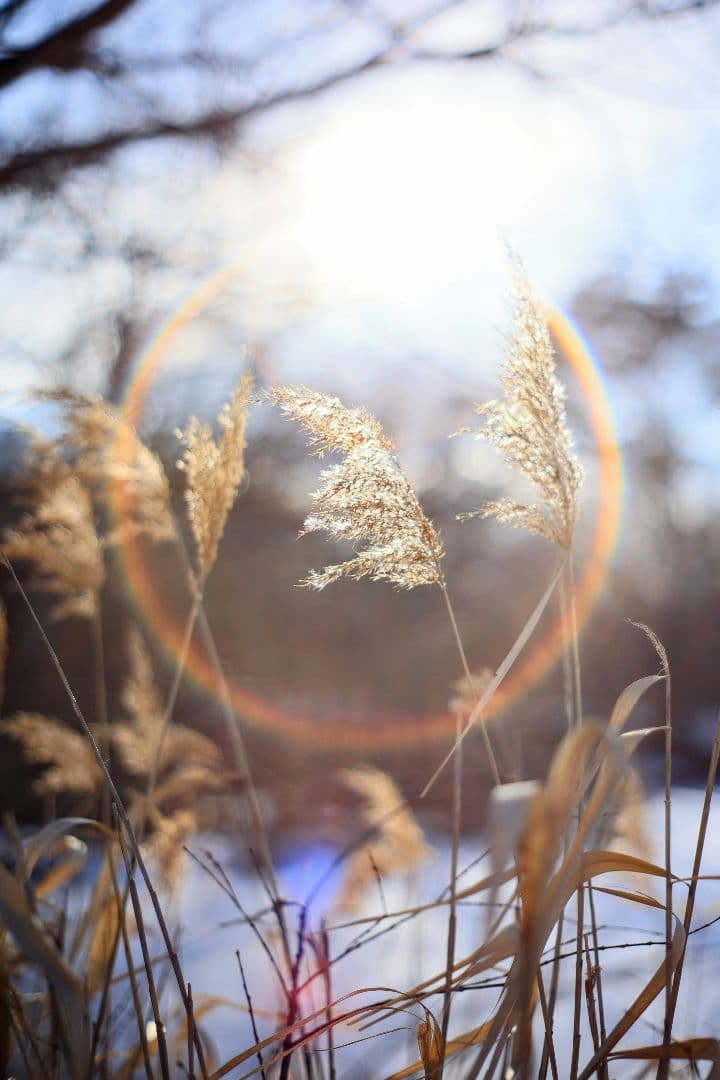 Super-Takumar 55mm F1.8 後期型 S/N：1406850