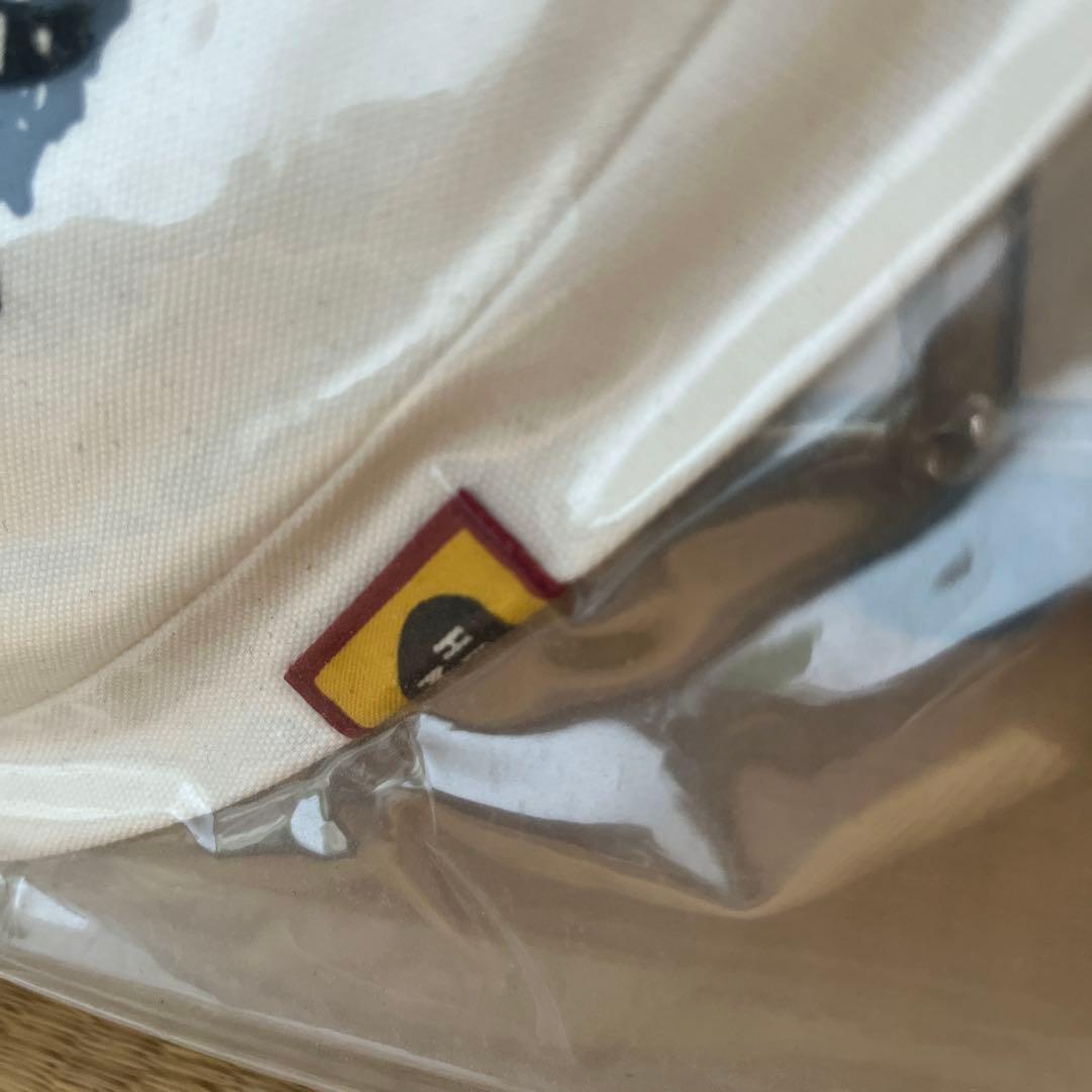 HUMAN MADE x KAWS カモ クッション ヒューマンメイド カウズ