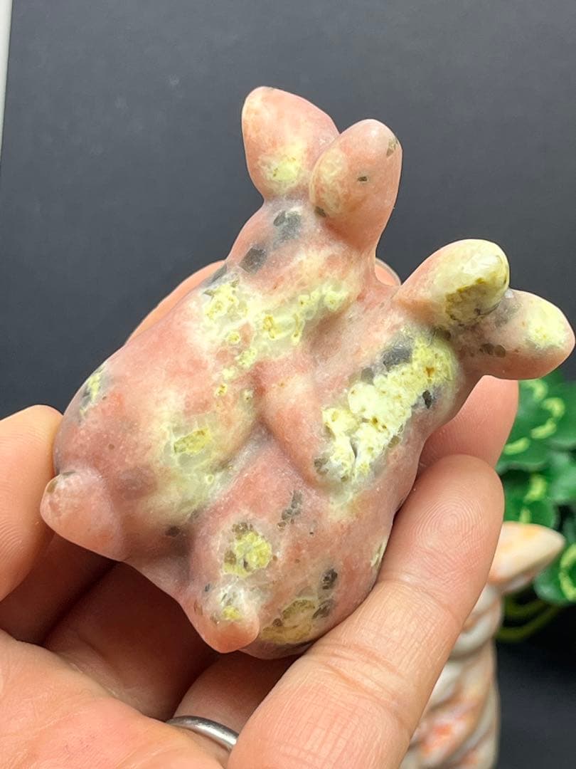 ⭐️K⭐️様確認ページ