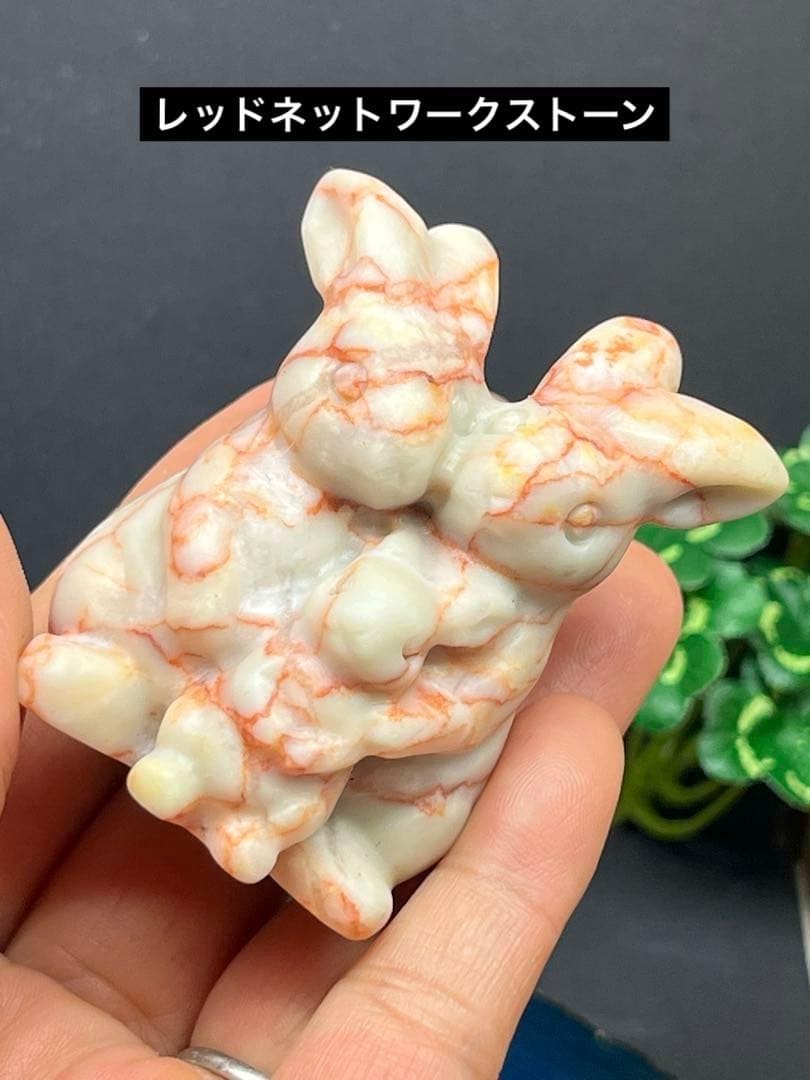 ⭐️K⭐️様確認ページ