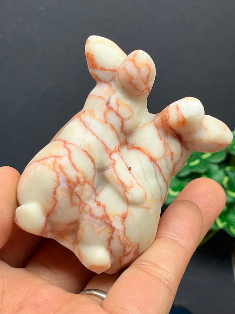 ⭐️K⭐️様確認ページ