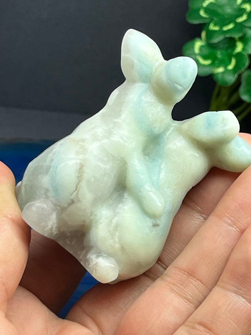 ⭐️K⭐️様確認ページ