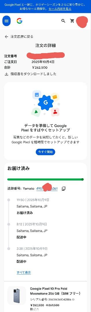 r_chipp_h様専売　Google Pixel 10 Pro Fold 本体