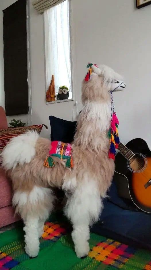 [ペルー]　本物の毛を 使った アルパカ の特大置き物　[インテリア]