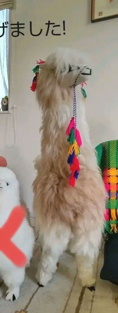 [ペルー]　本物の毛を 使った アルパカ の特大置き物　[インテリア]