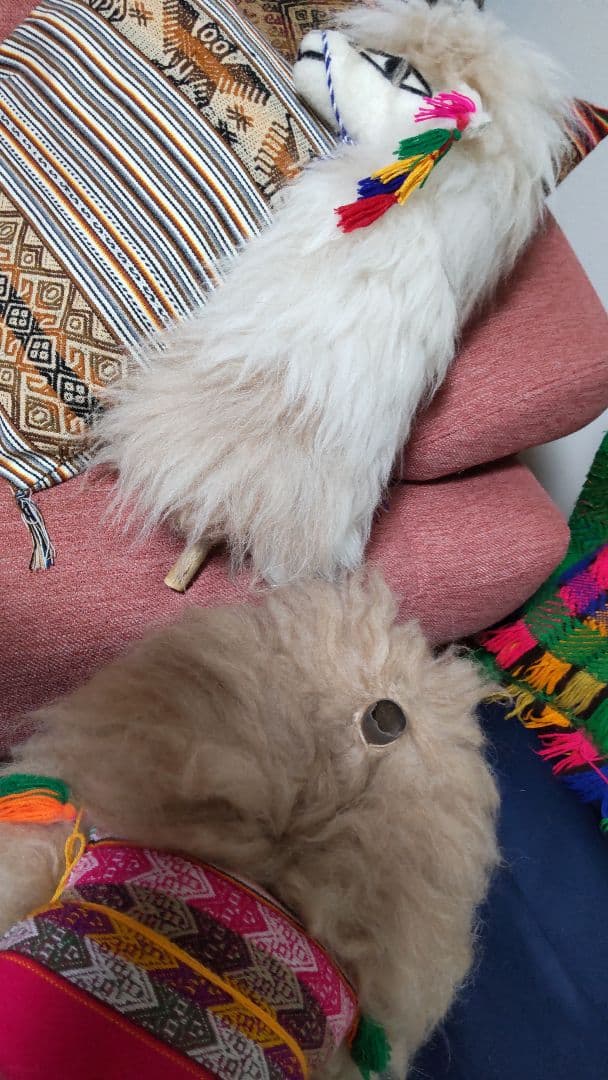 [ペルー]　本物の毛を 使った アルパカ の特大置き物　[インテリア]