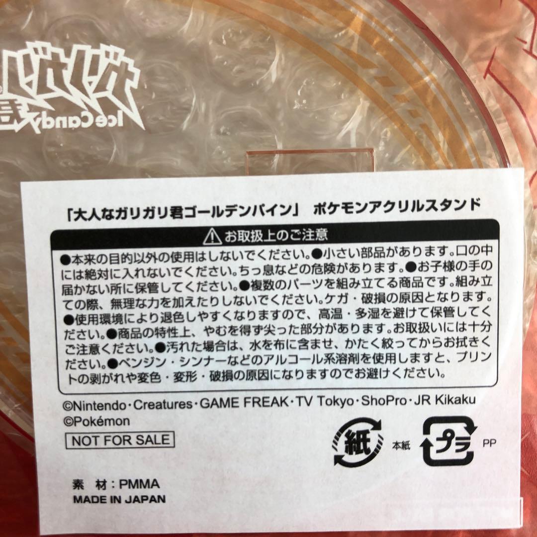 ポケモン ガリガリ君 アクリルスタンド ダンデ&リザードン 当選品 限定品 新品