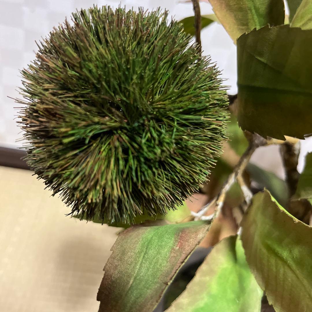 栗。盆栽風オブジェ 大サイズ