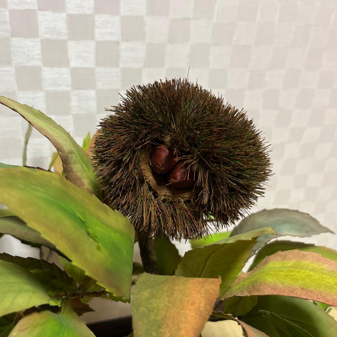 栗。盆栽風オブジェ 大サイズ