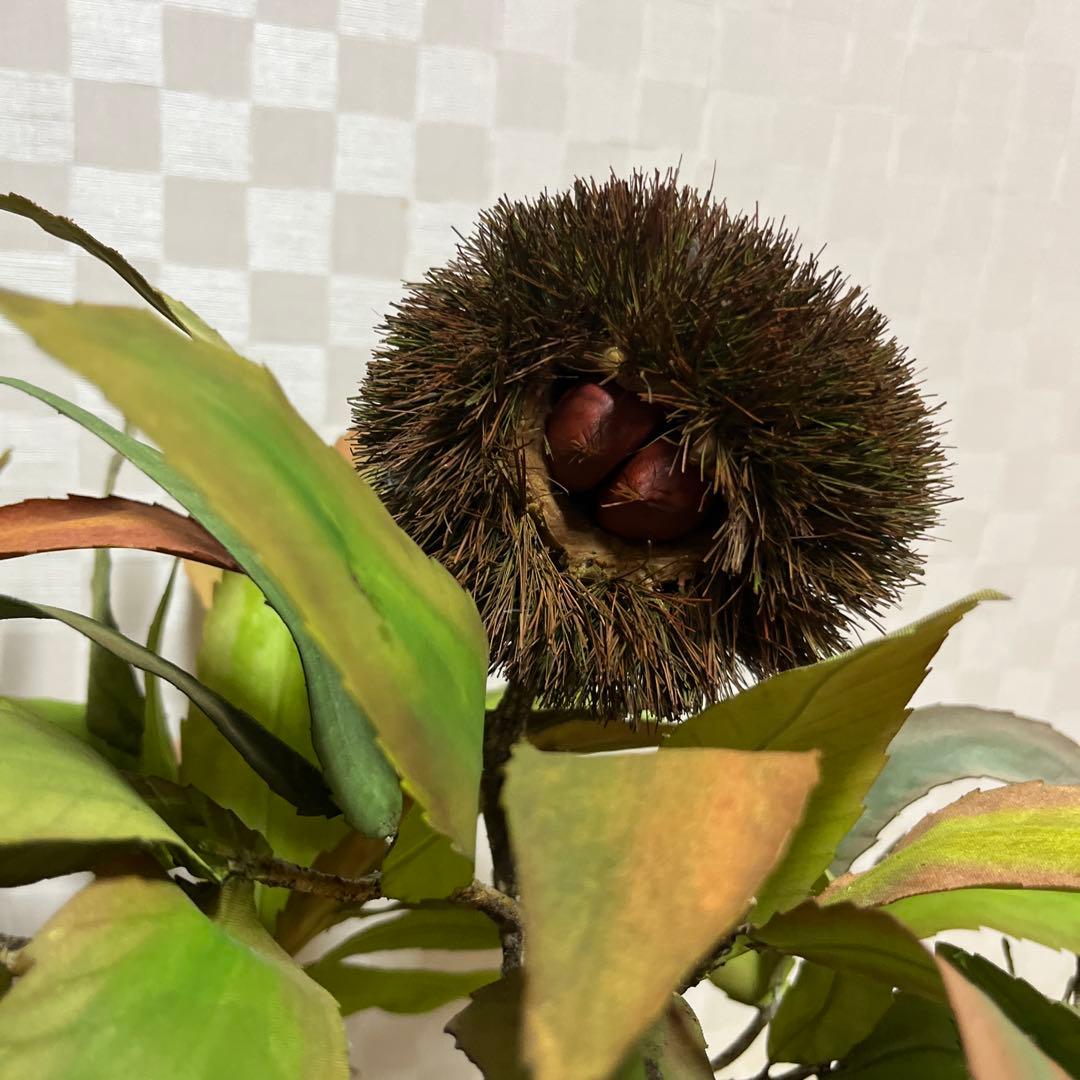 栗。盆栽風オブジェ 大サイズ