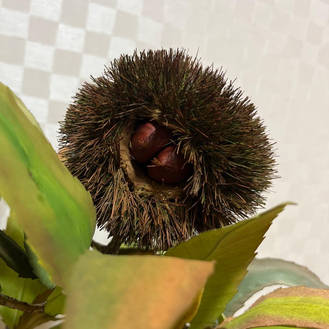 栗。盆栽風オブジェ 大サイズ