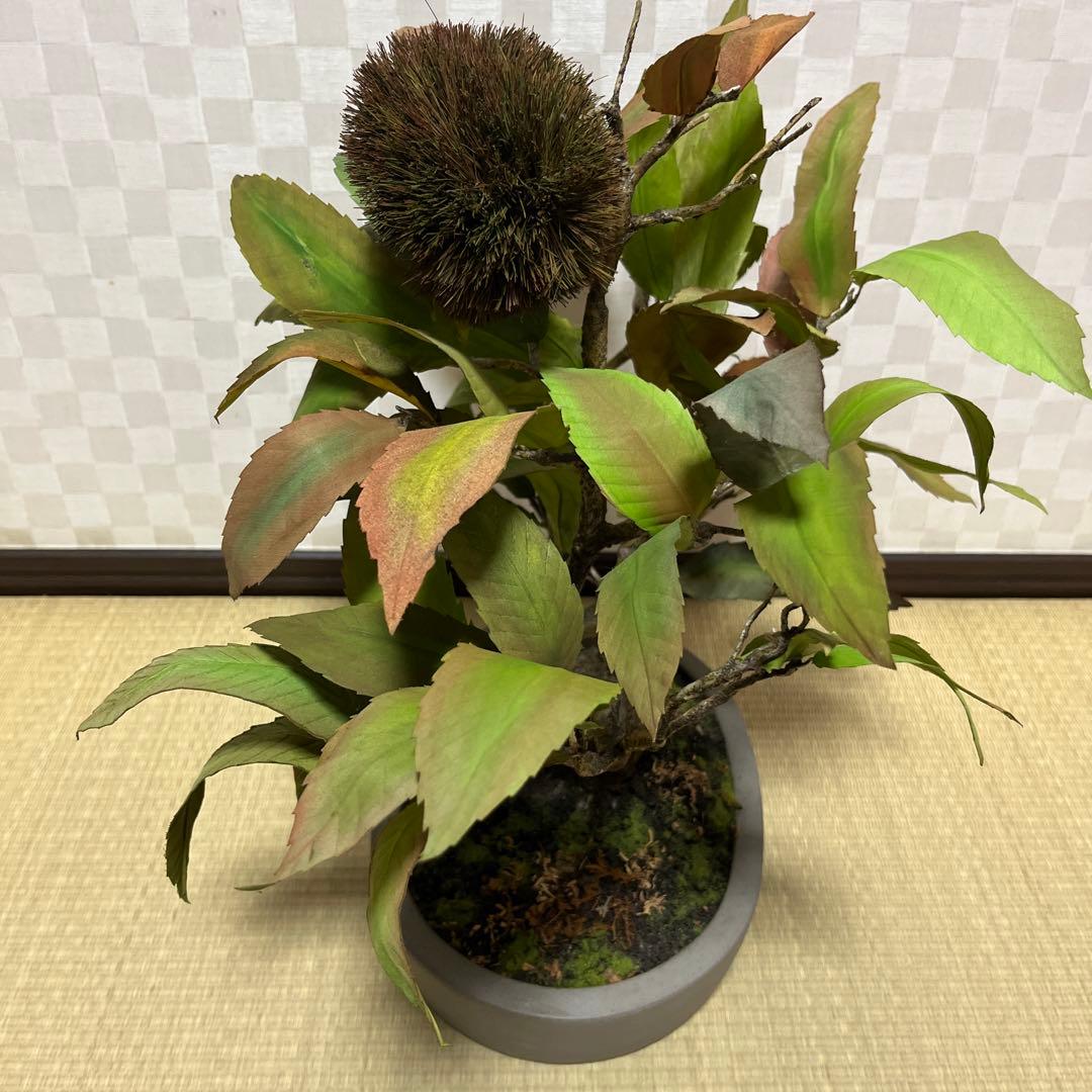 栗。盆栽風オブジェ 大サイズ