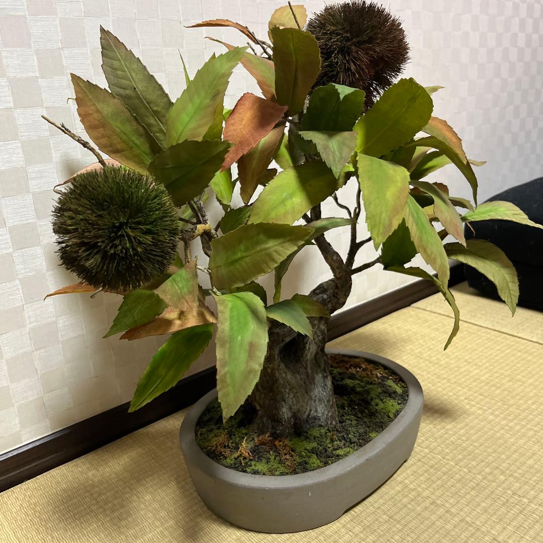 栗。盆栽風オブジェ 大サイズ