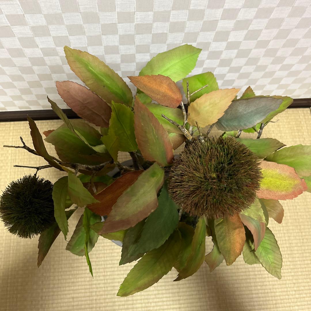 栗。盆栽風オブジェ 大サイズ