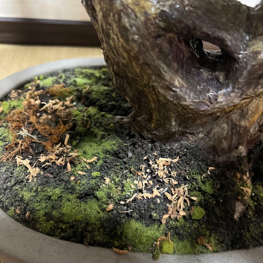 栗。盆栽風オブジェ 大サイズ