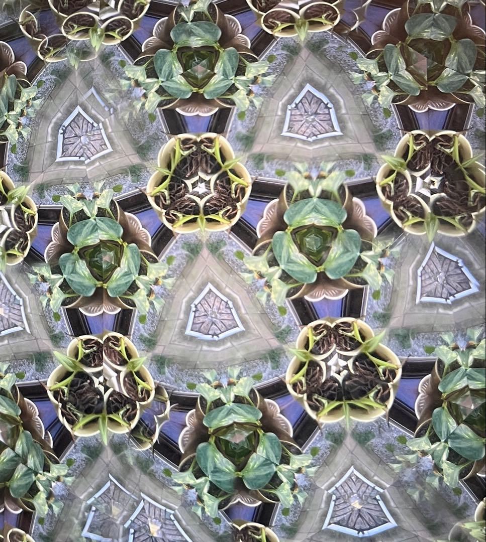 テレテレイドスコープ13cm, ロイコヘンのセイン付き