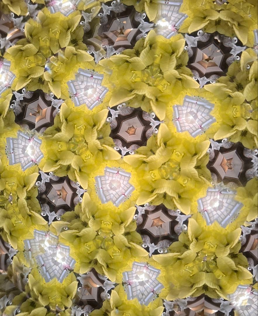 テレテレイドスコープ13cm, ロイコヘンのセイン付き