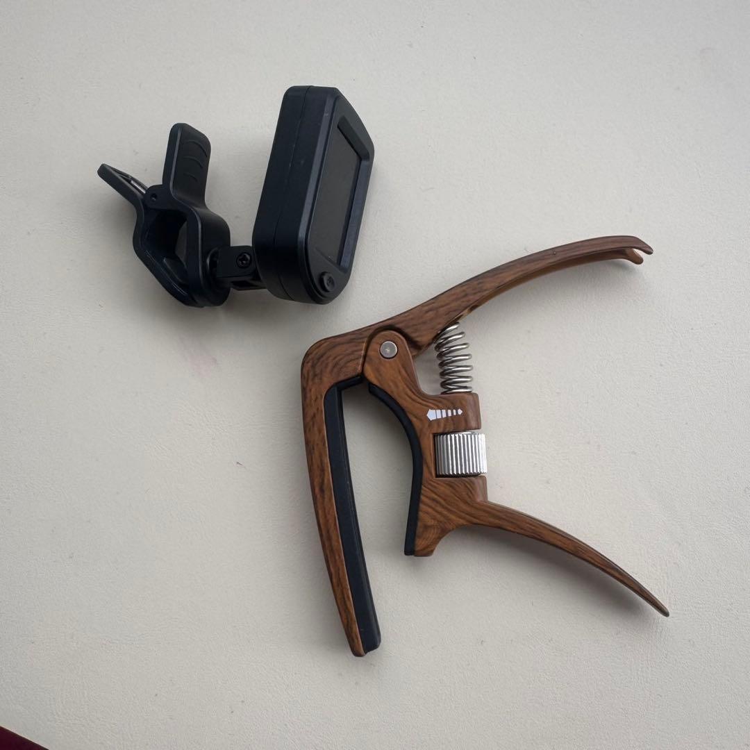 【美品】Morris TF-801 ハカランダ アコースティックギター