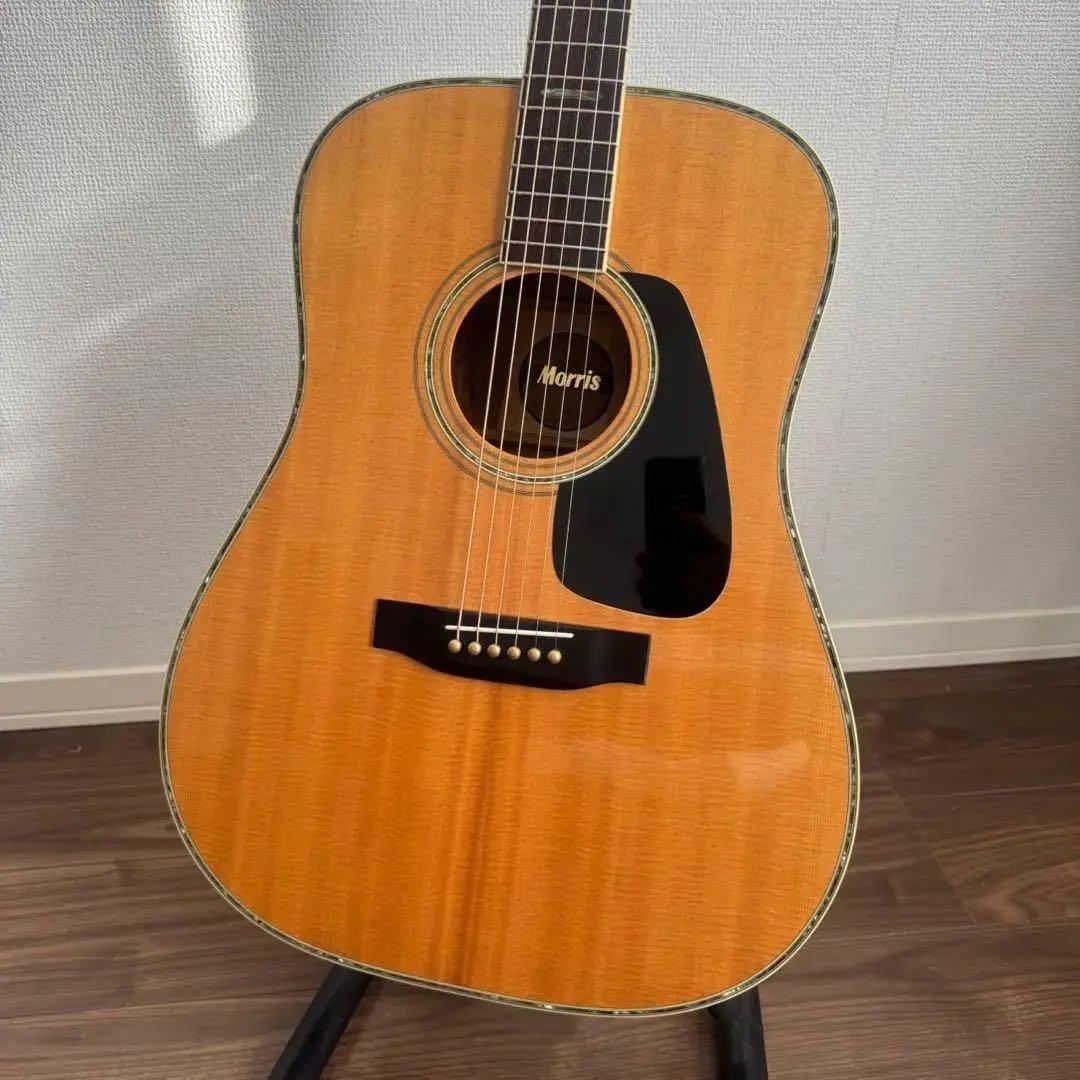 【美品】Morris TF-801 ハカランダ アコースティックギター