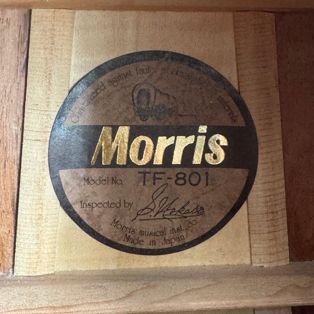 【美品】Morris TF-801 ハカランダ アコースティックギター