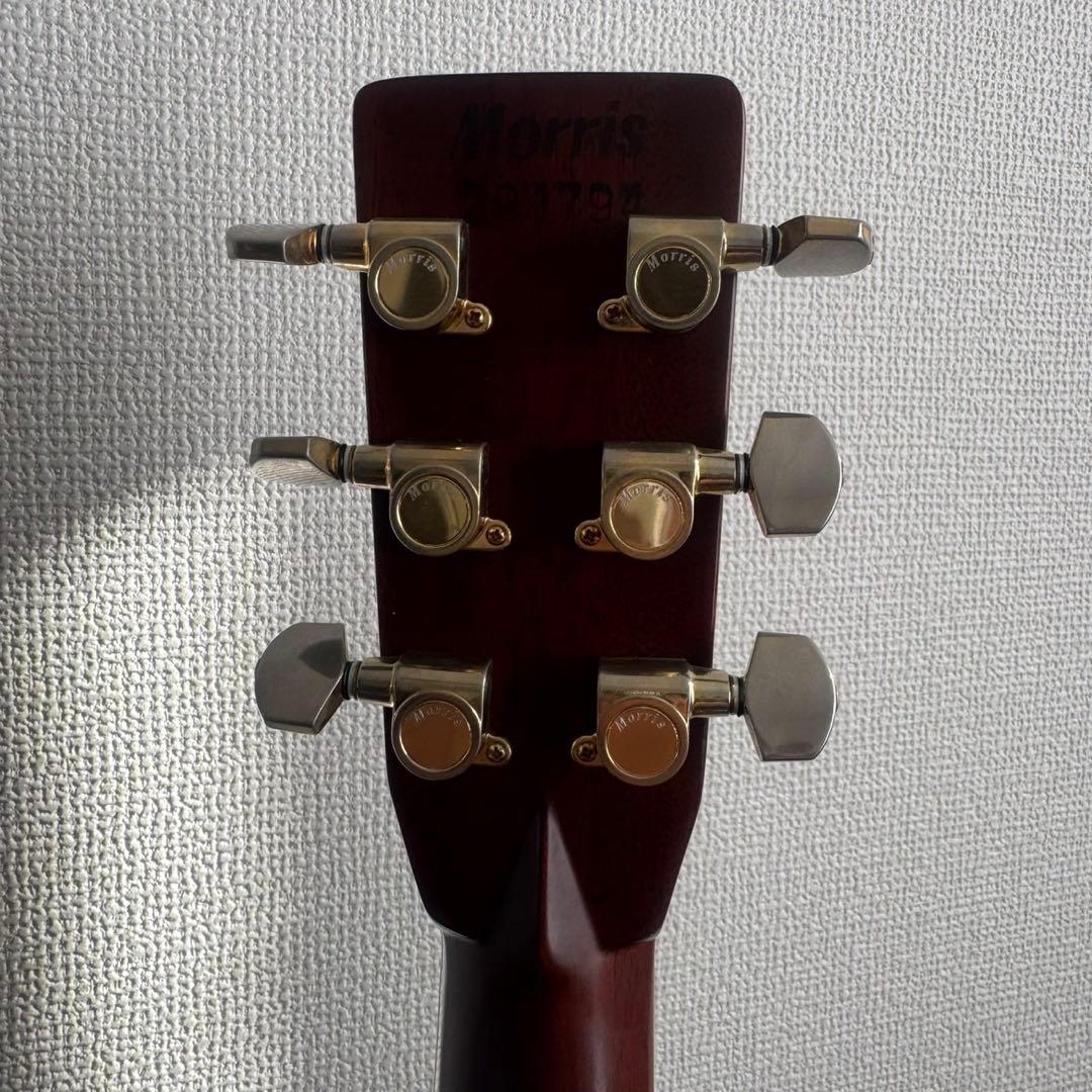 【美品】Morris TF-801 ハカランダ アコースティックギター