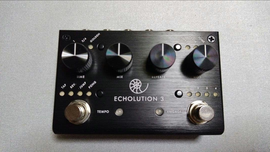 ギター PIGTRONIX ECHOLUTION 3