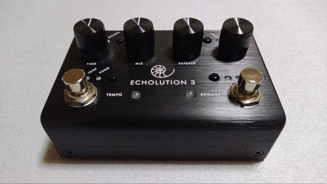 ギター PIGTRONIX ECHOLUTION 3