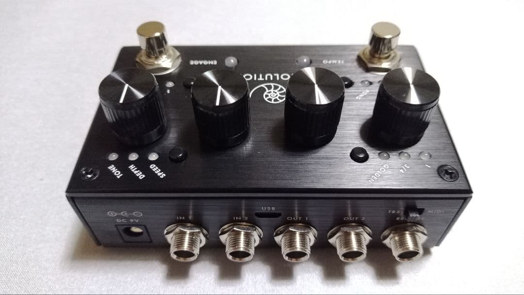 ギター PIGTRONIX ECHOLUTION 3