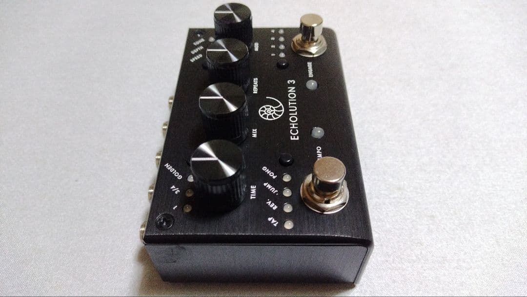 ギター PIGTRONIX ECHOLUTION 3