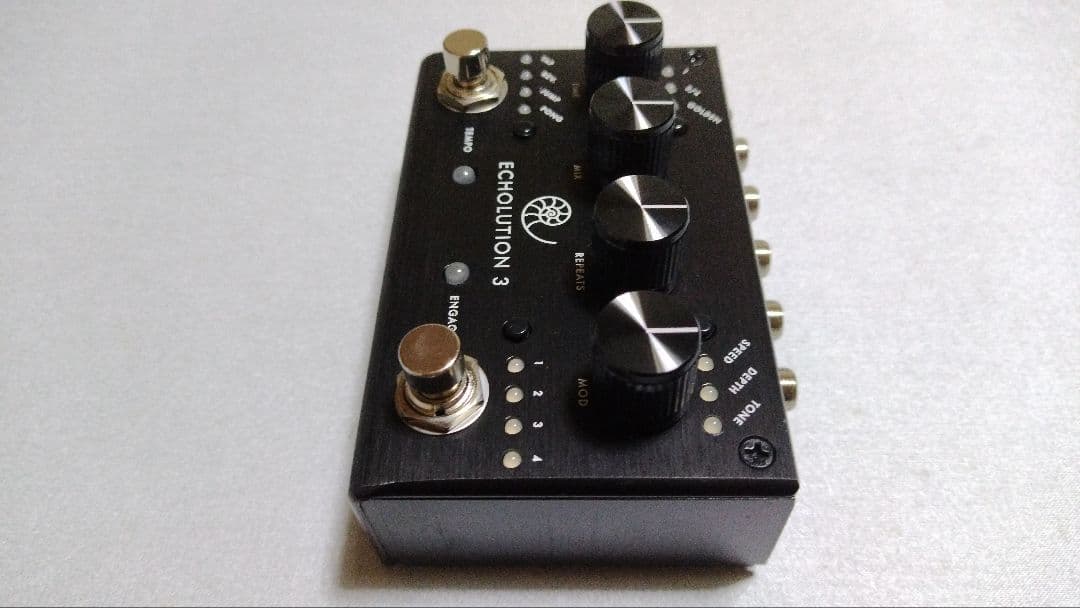 ギター PIGTRONIX ECHOLUTION 3