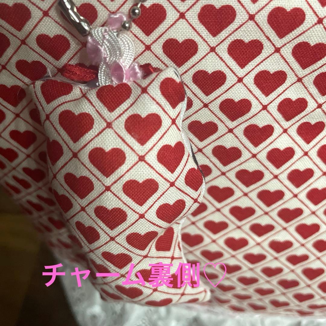 ♡*♡様 コヤンイサムチョン　バレンタインアンコちゃん