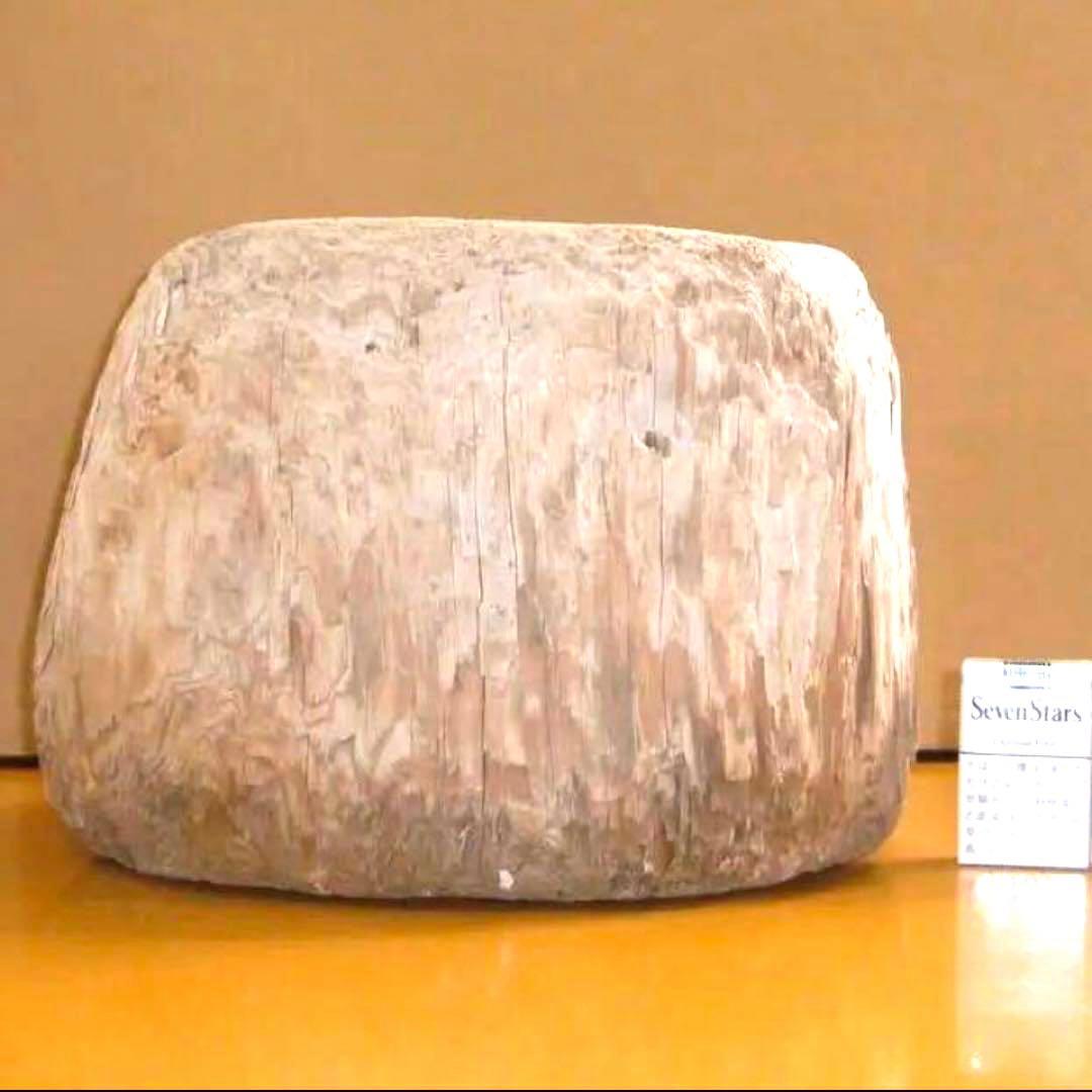 流木に感動‼️瀬戸内海 漂流 丸太 樹齢約50年 玉切り 切り株 盆栽の台 腰掛け