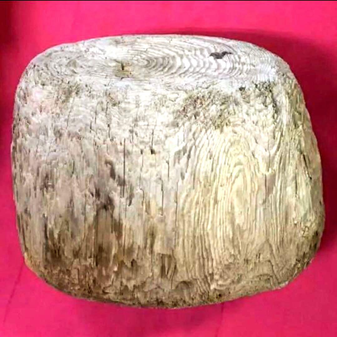 流木に感動‼️瀬戸内海 漂流 丸太 樹齢約50年 玉切り 切り株 盆栽の台 腰掛け