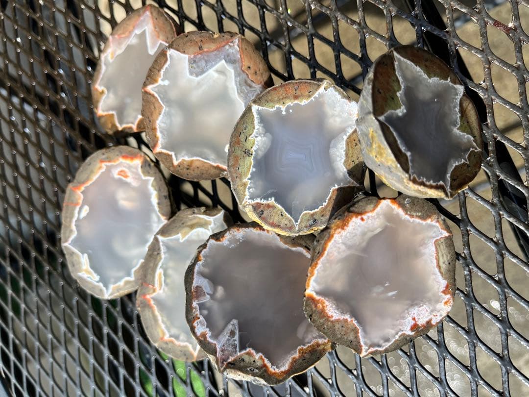 サンダーエッグ　ハーフカット　4個セット