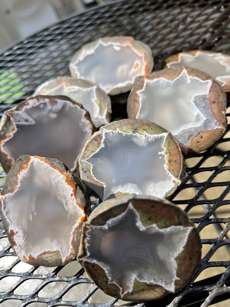 サンダーエッグ　ハーフカット　4個セット