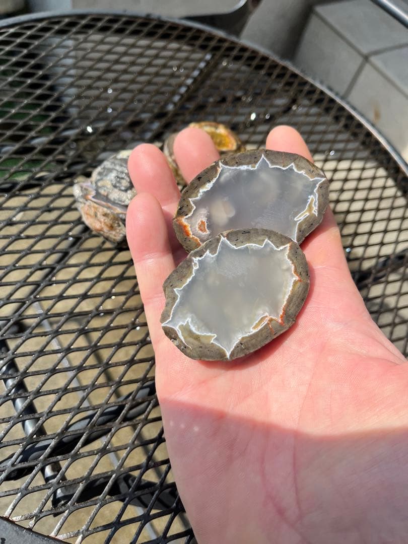 サンダーエッグ　ハーフカット　4個セット