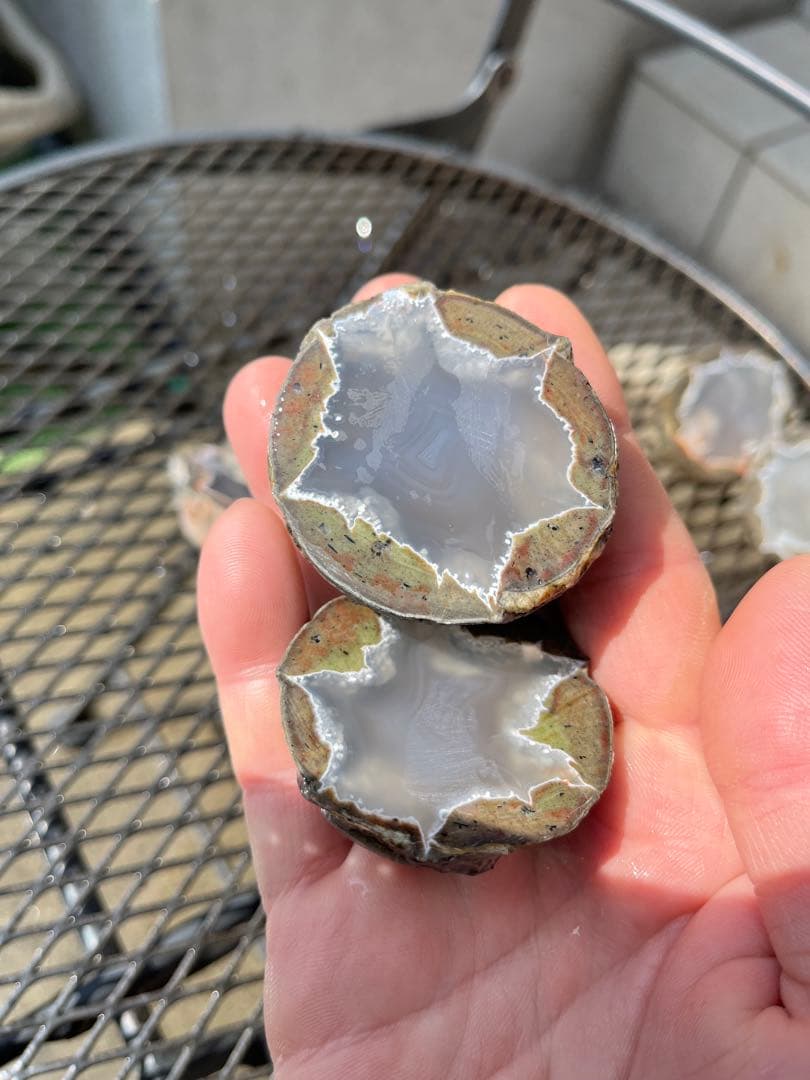 サンダーエッグ　ハーフカット　4個セット