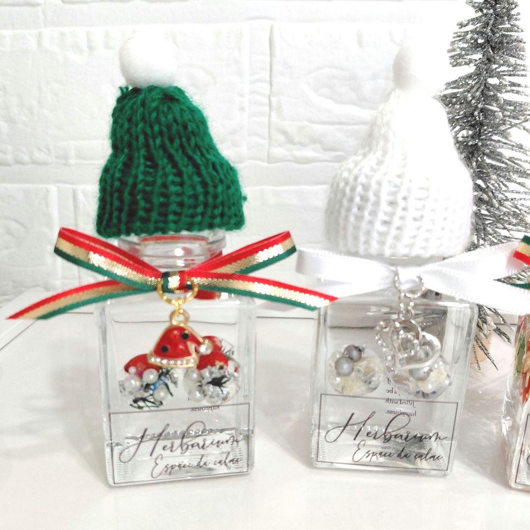 No.151 クリスマスver.冬のぷかぷかハーバリウム3本set