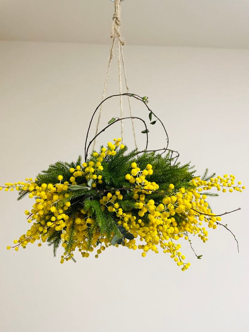 ミモザ オーダー予約受付ページ