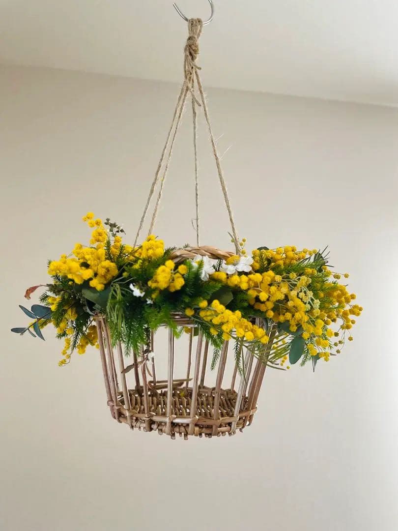 ミモザ オーダー予約受付ページ