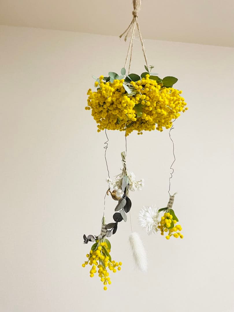 ミモザ オーダー予約受付ページ