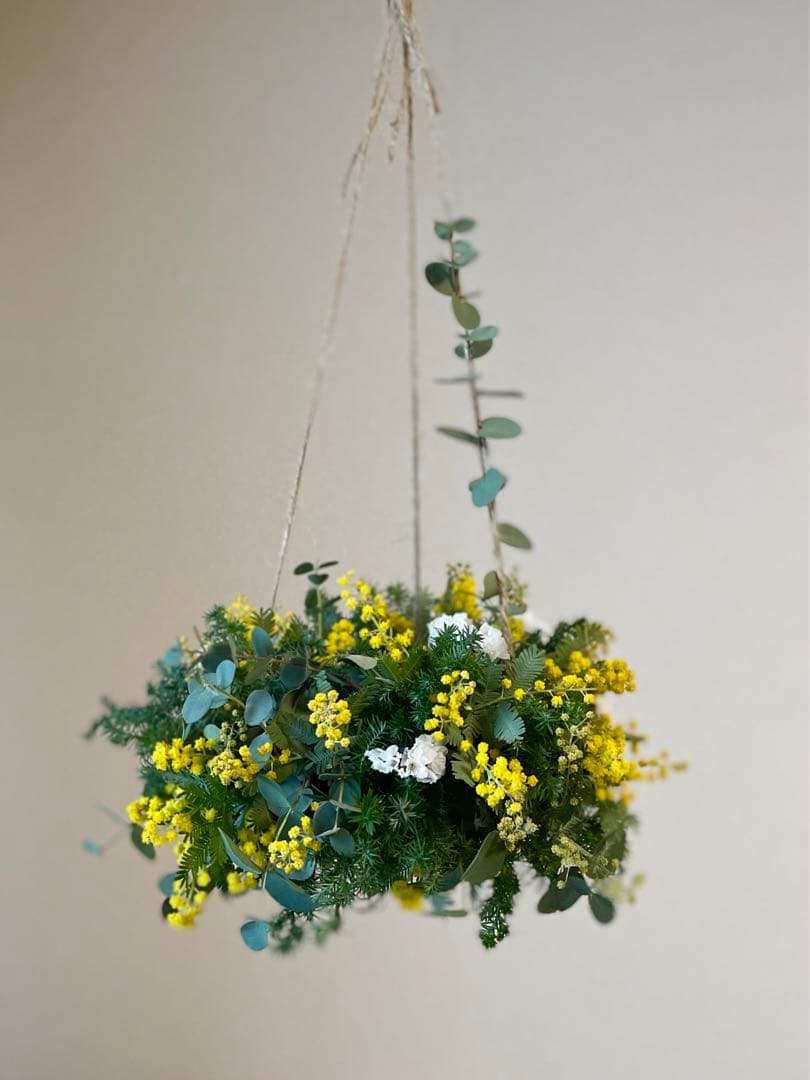 ミモザ オーダー予約受付ページ