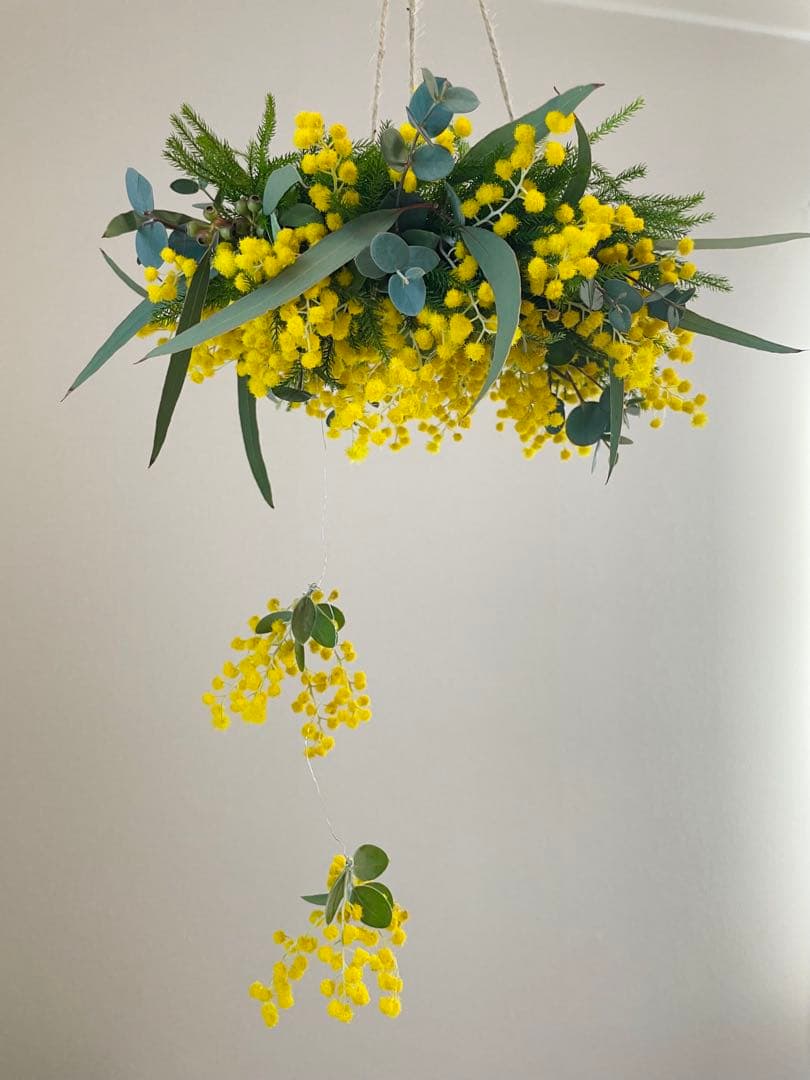 ミモザ オーダー予約受付ページ