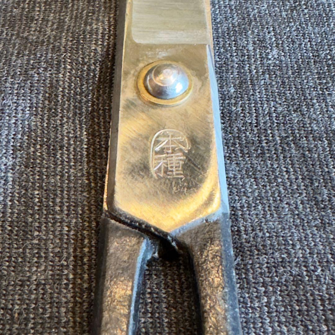 池浪刃物製作所 全長約２１cm 本種子鋏
