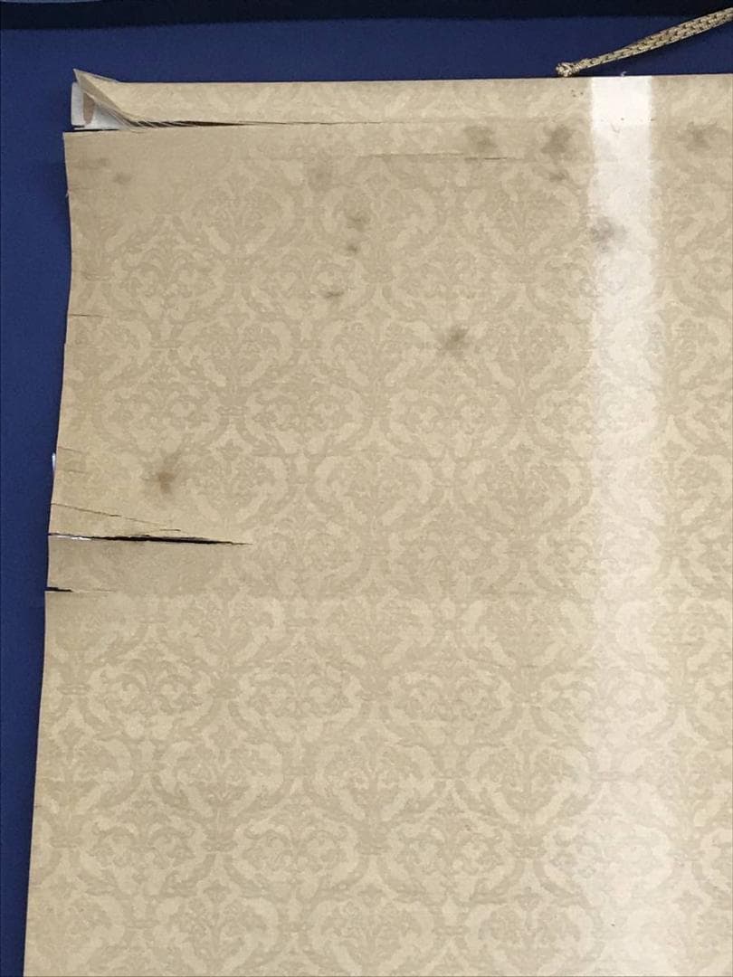 【真作】中野草雲/高原ノ富士/富士山図/山水図/掛軸/名家伝来/AC-219