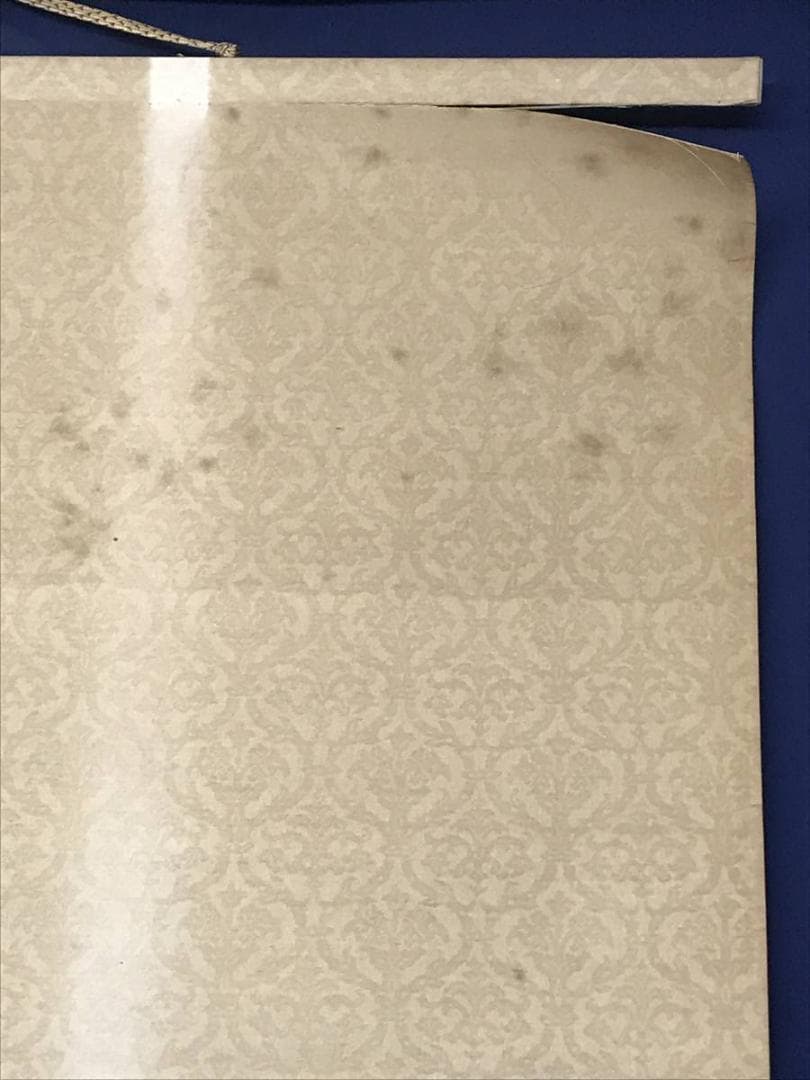 【真作】中野草雲/高原ノ富士/富士山図/山水図/掛軸/名家伝来/AC-219