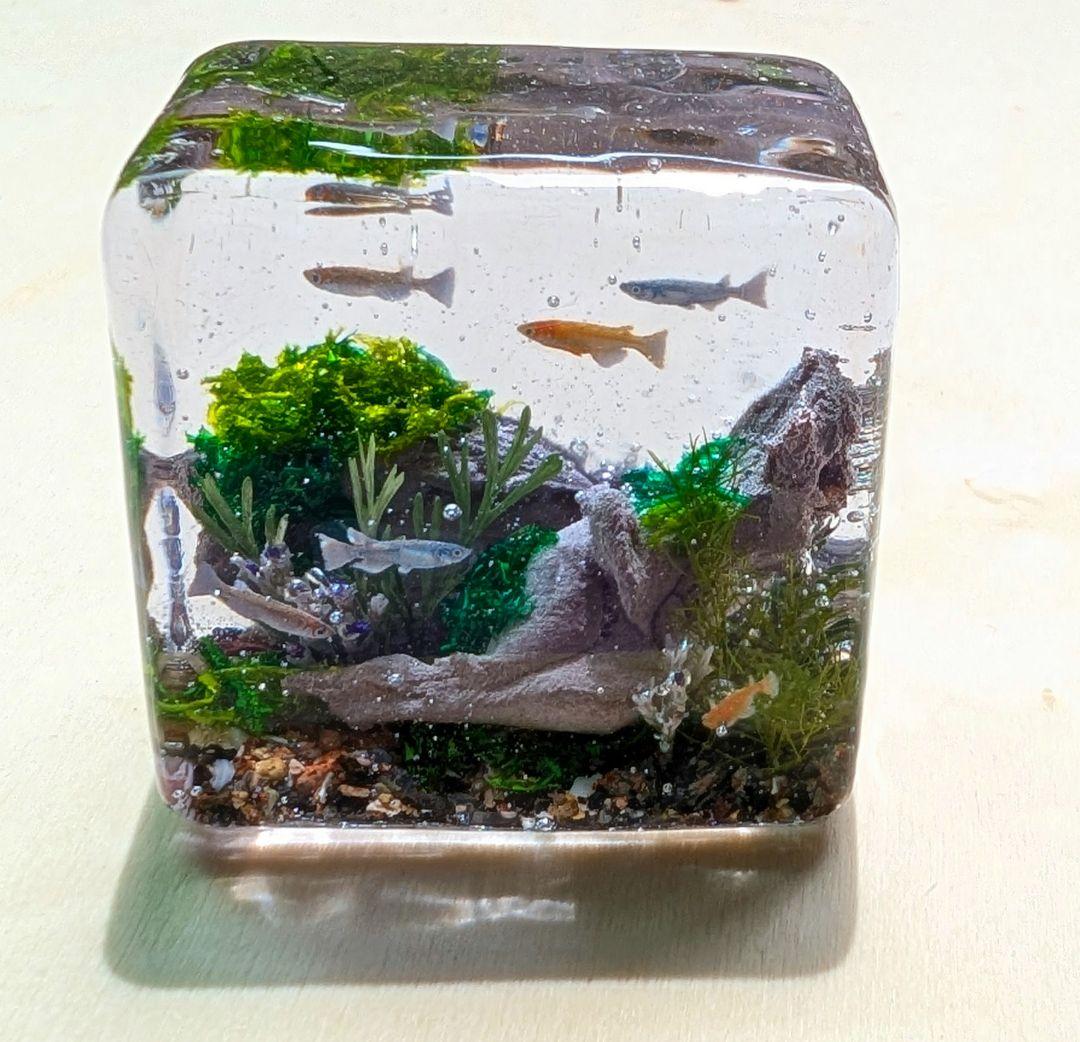 熱帯魚トンネル水槽　オブジェ