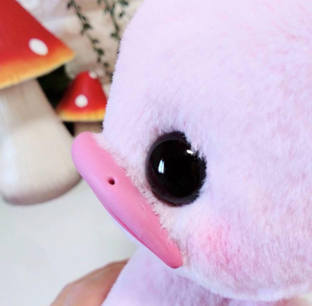 アートドール✽ぬいぐるみ✽5ジョイント✽モンぴちゃん✽大サイズ