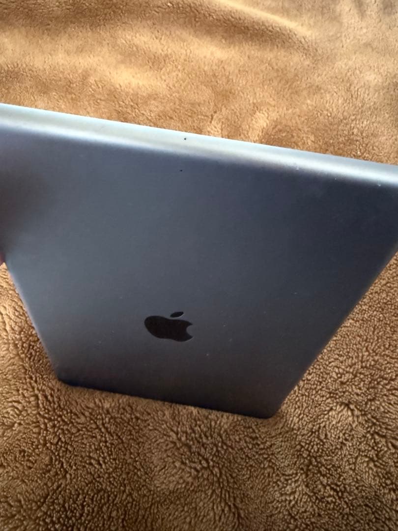 Apple iPad 第9世代 256G Applepencil 第1世代セット